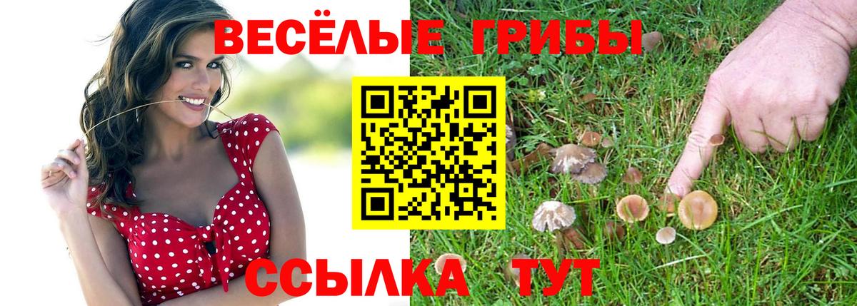 Рязань  Галлюциногенные грибы прущие грибы  Вход с VPN  Псилоцибиновые грибы Magic Shrooms 